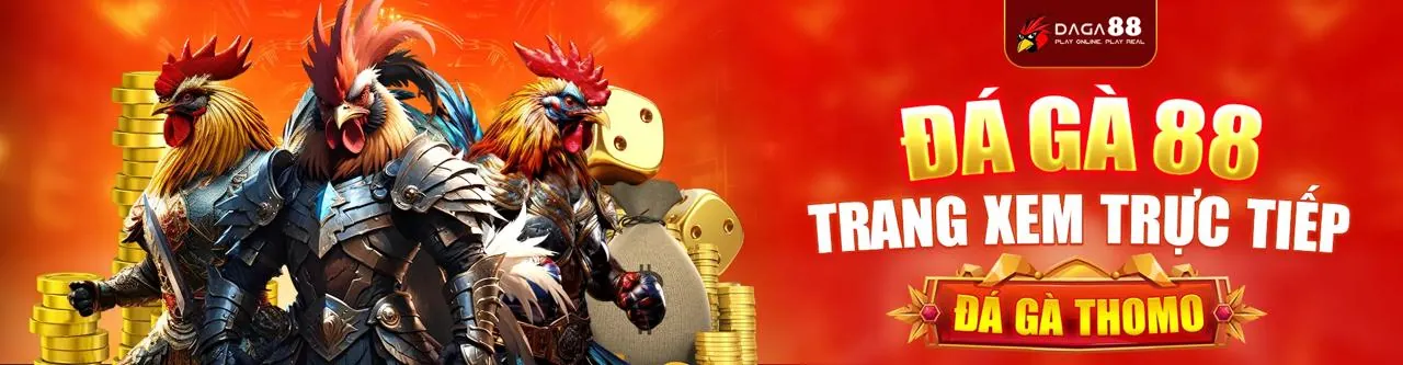 Hướng dẫn New88 Win cho người mới